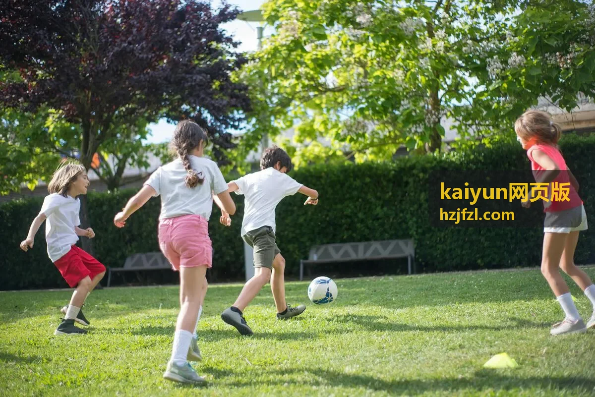 kaiyun网页版 手机端显示与操作区域调整配图
